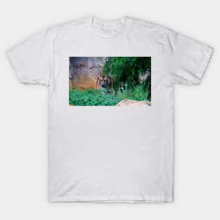 Siberian Tiger T-Shirt